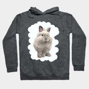 Cloud Rabbit White Lion Head _ Bunniesmee Hoodie